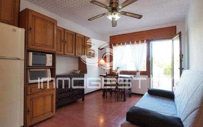 Estudi de planta baixa amb terrassa