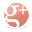 Google+ icon