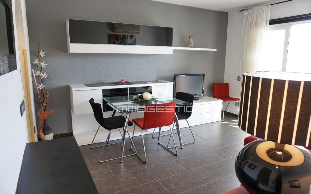 Renovated ground floor apartment