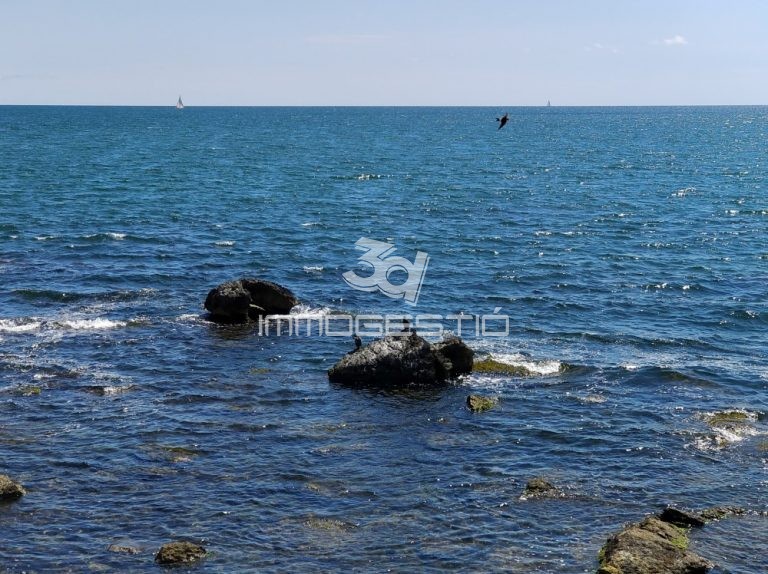 local-passeig-3dimmogestio-lloguer-lescala