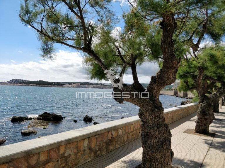 local-passeig-3dimmogestio-lloguer-lescala