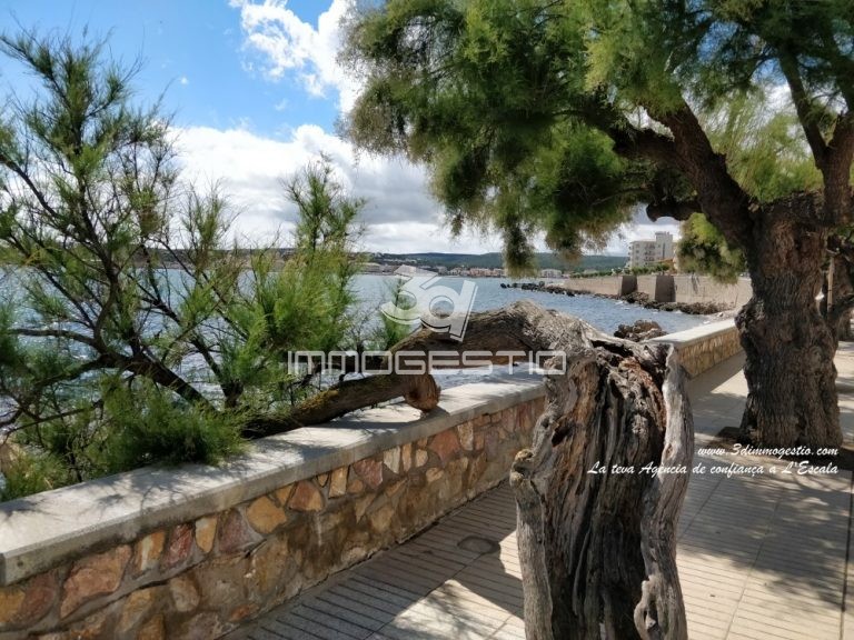 local-passeig-3dimmogestio-lloguer-lescala